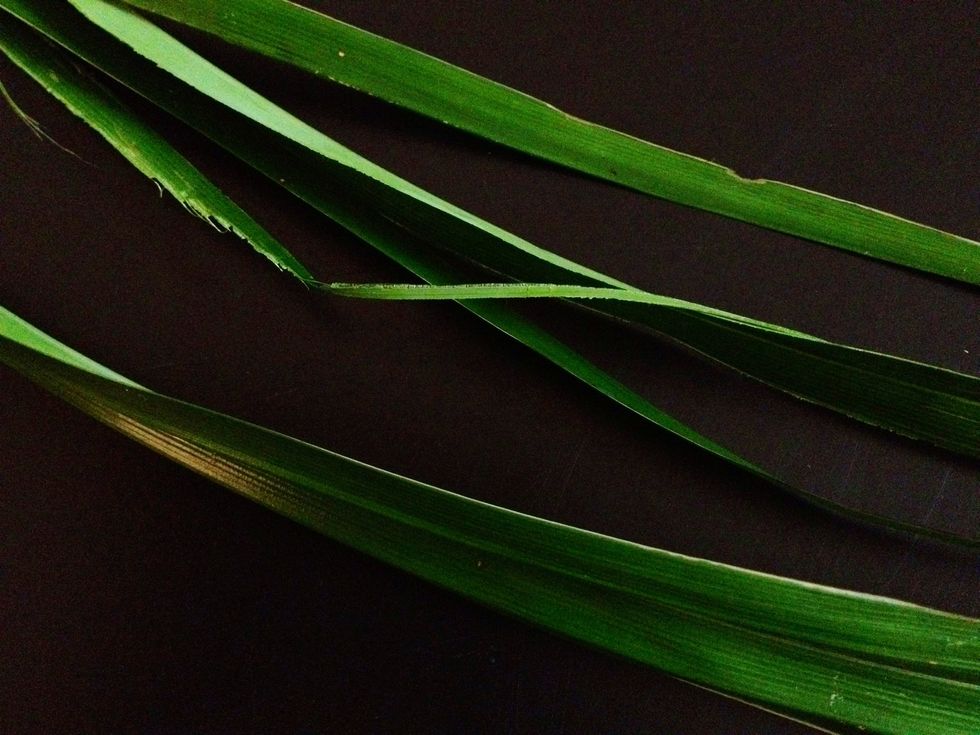 After heating, the leaves should also feel more pliable. Next, slice lengthwise to help the leaf oils release the fragrance easier.