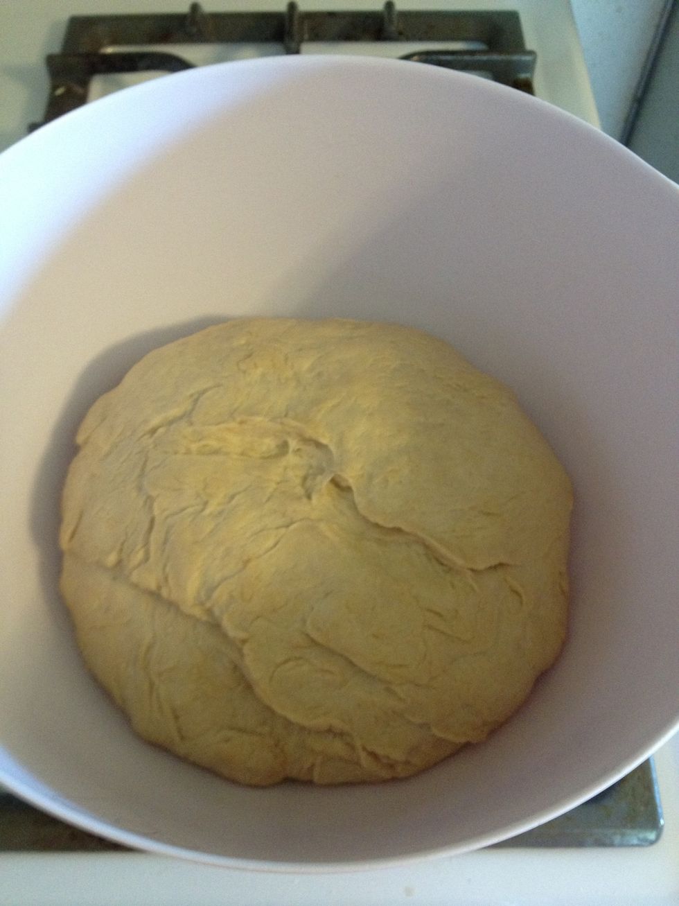 After it rise punch it down flat and shape it into a loaf.