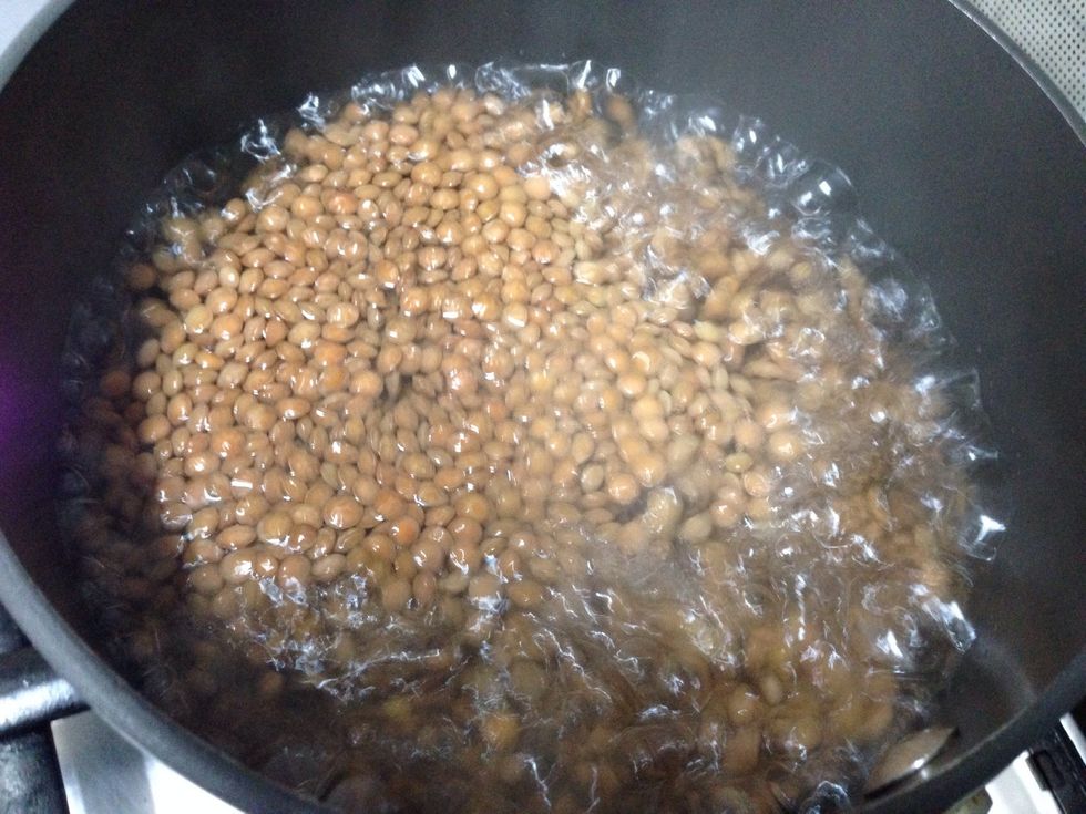 After one hour boil the brown lentil to 3/4 cooked------------------- \u0628\u0639\u062f \u0633\u0627\u0639\u0629 \u064a\u0637\u0647\u064a \u0627\u0644\u0639\u062f\u0633 \u0639\u0644\u064a \u0627\u0644\u0646\u0627\u0631 \u062d\u062a\u064a \u064a\u0635\u0644 \u0627\u0644\u064a \u0663/\u0664 \u0633\u0648\u0627