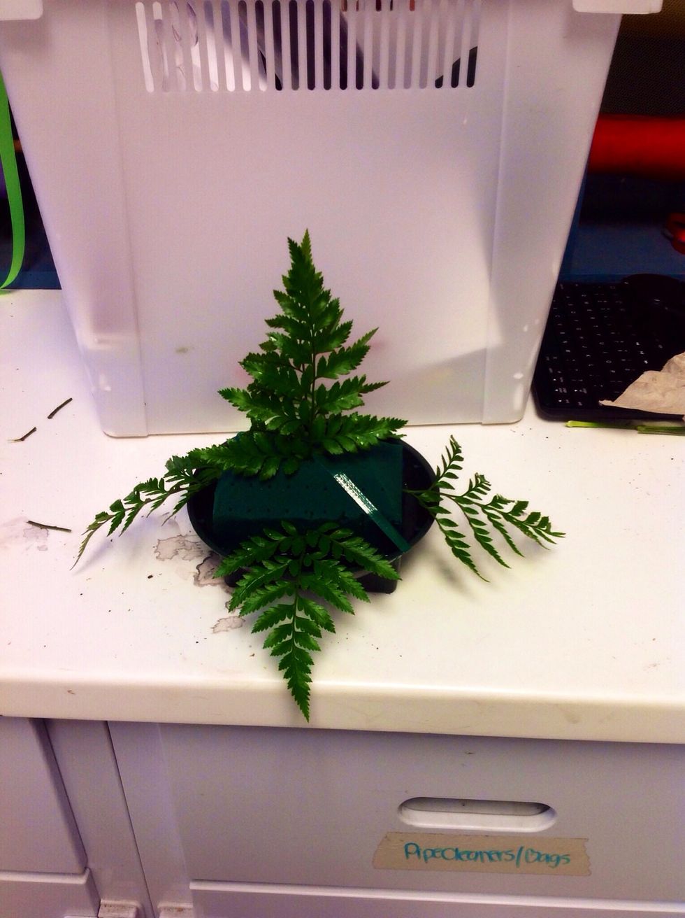 After putting the four pieces of leather leaf in the sides of the oasis, you take the remaining two pieces and put them on top of the oasis. The two pieces should be facing away from each other.