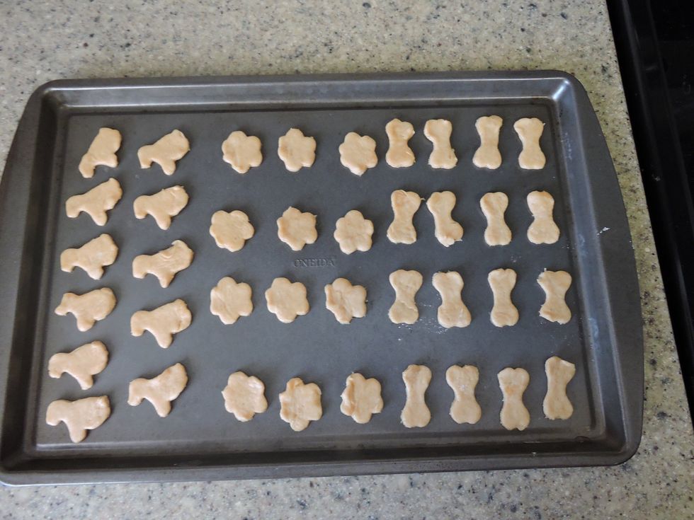 After removing the excess dough, place the dog treats on a non-stick cookie sheet, and place in the oven for 10-13 minutes.