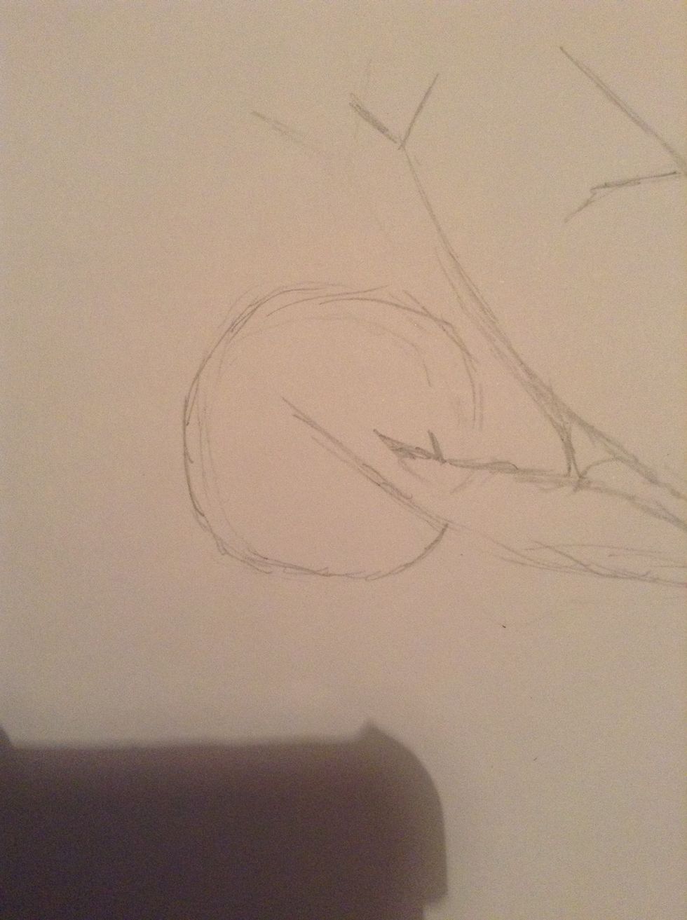 After sketching the tree sketch out the moon Like this