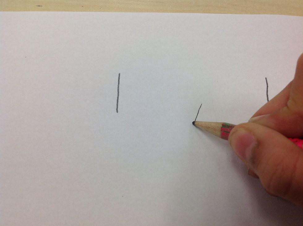 After,Take your pencil again and draw Half of a triangle on the paper.