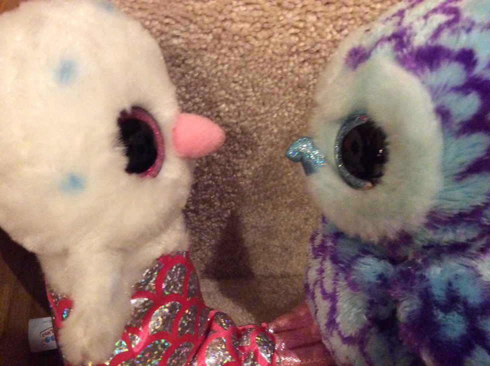 After that, just keep the conversation going. Or, maybe talk about something that you might have in common.