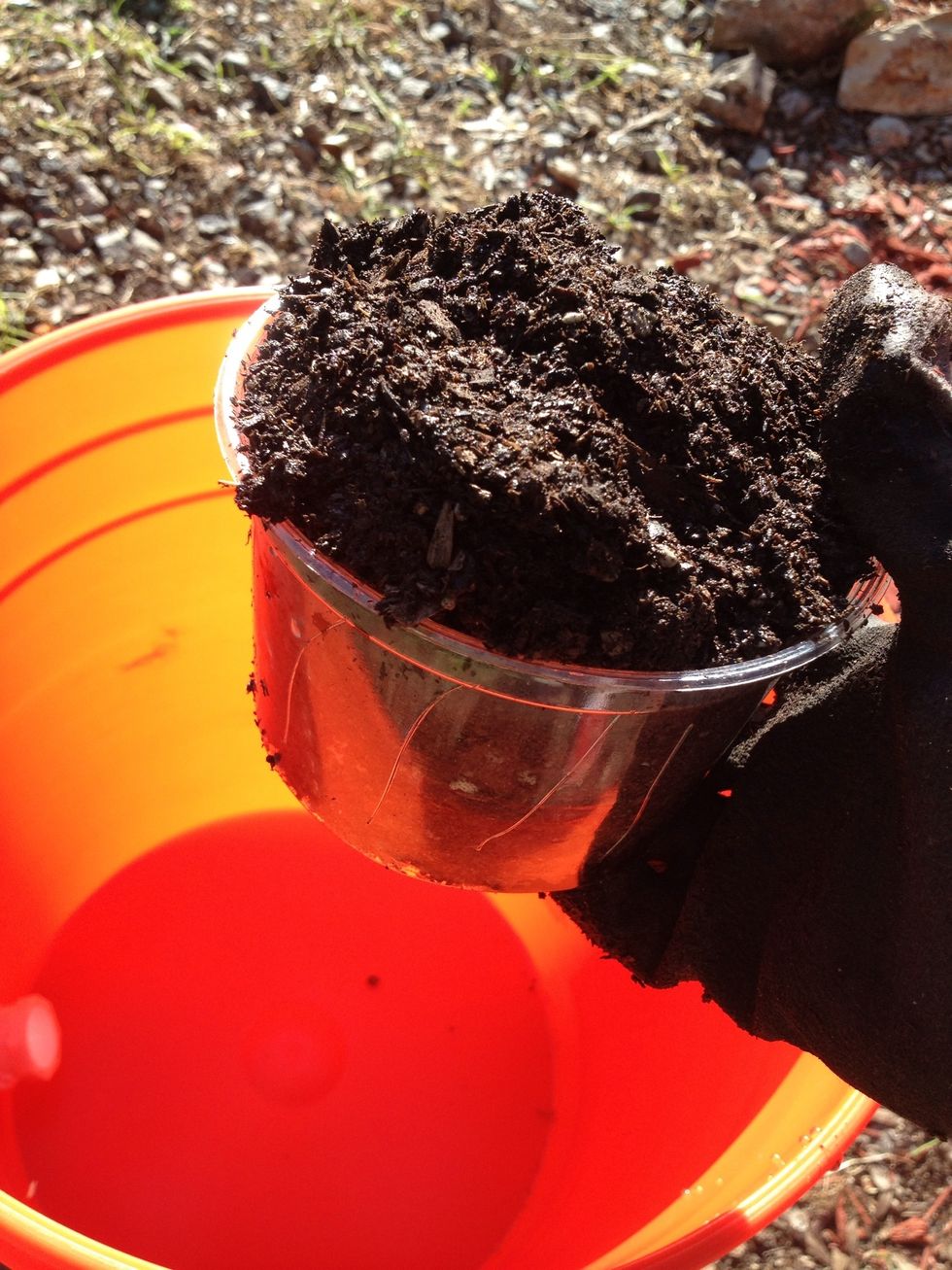 After the first bucket has dried, fill the deli container with very moist potting soil. It should bulge out a bit. The wet soil will help move the water up from the bottom bucket to the top.