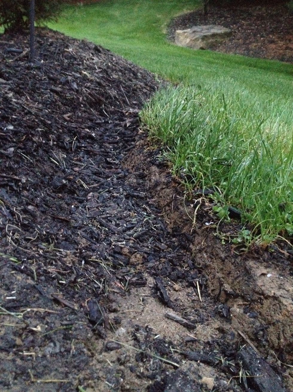 After the mulch was eroded it went through deposition. Due to water, the mulch got washed away and sent to a new location.