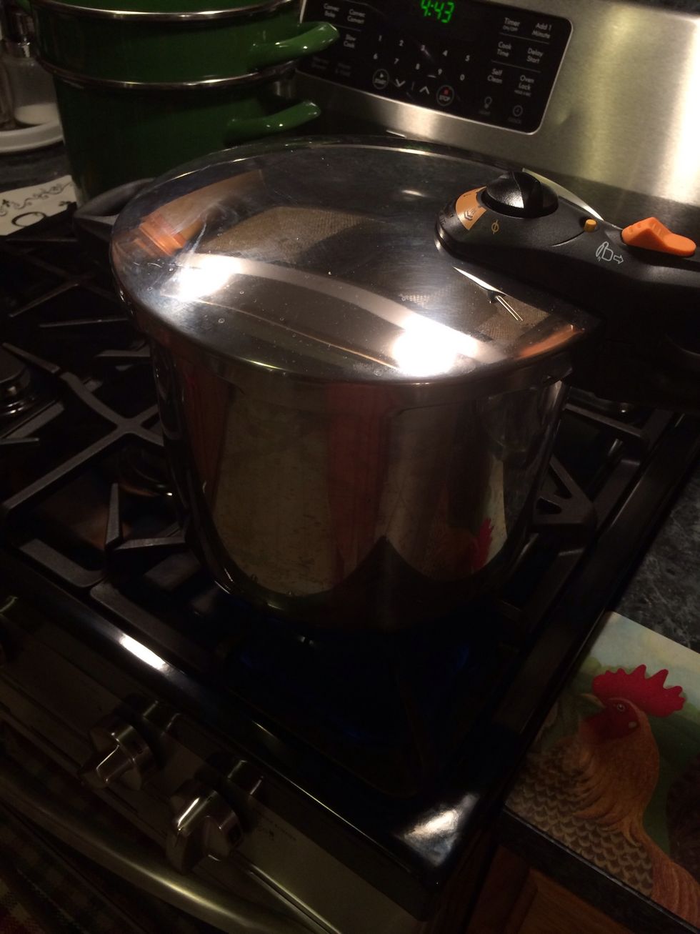 After the pressure comes up cook the octopus on high for 25 minutes or until fork  tender. I own a Fagor Duo just in case you want to know.