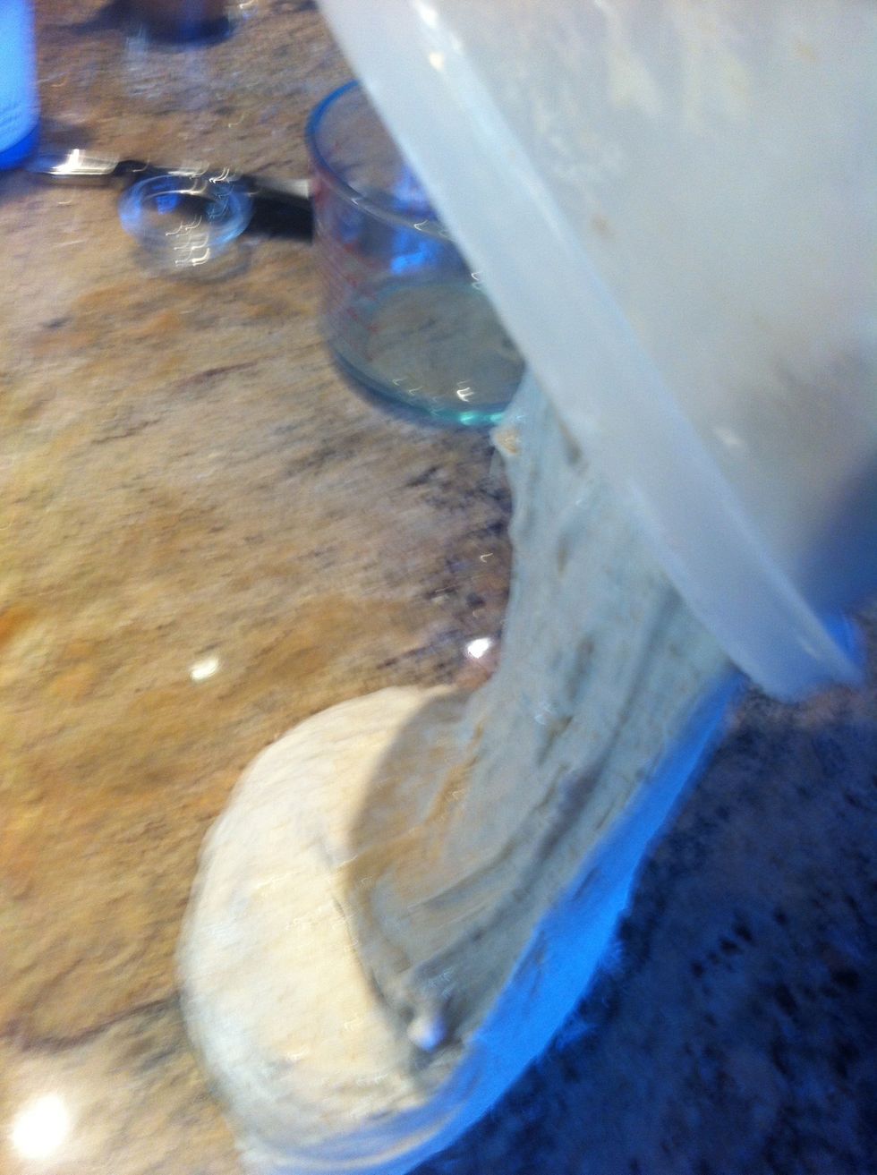 After the rise, pour the dough on a clean work surface.