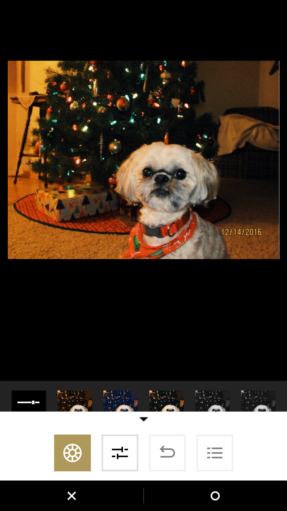 After you are done editing the picture, click the circle on the bottom panel. This will return you to the main screen where we uploaded the photo to VSCO.