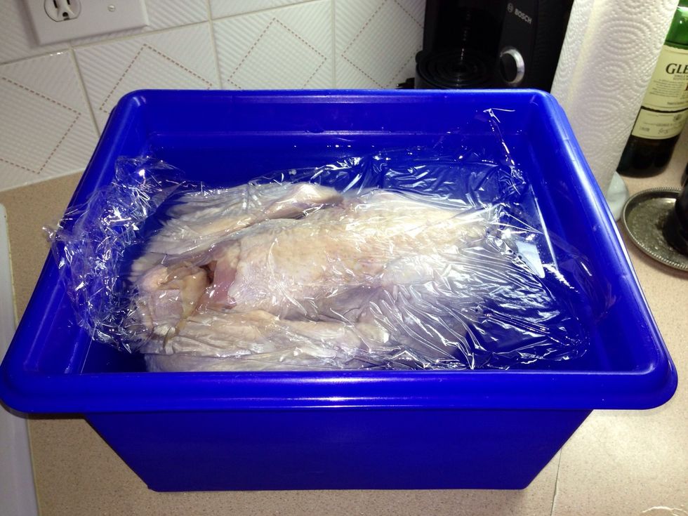 After you have immersed the bird in the brine breast side DOWN, cover any exposed areas with some Saran Wrap. Soak in brine for 12 hours in the refrigerator.