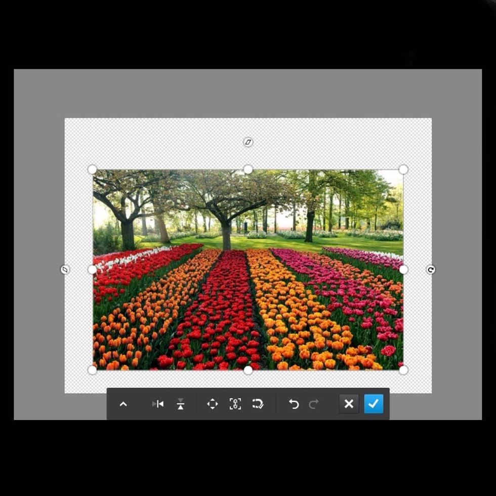 After you position the photo, select the check mark (bottom right).