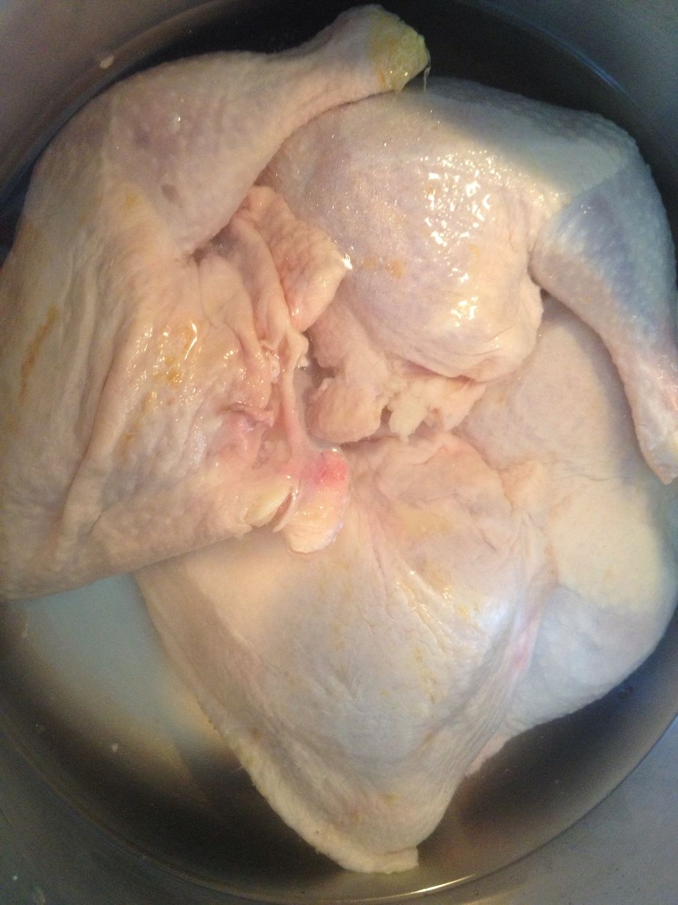 After you rinse the chicken. Place it in a lg pot and add water just enough to cover it.