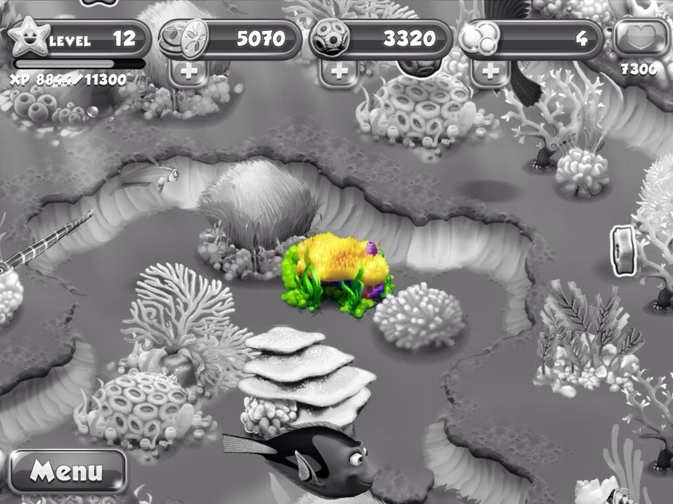 After your algae has finished feeding your plant  You plant has finished growing.  And there's you finished Yellow Table Plant.