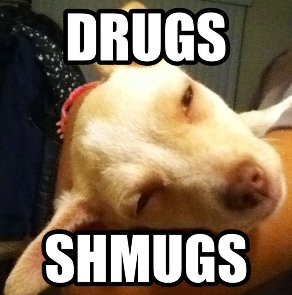 After your done with that, just save the photo. BTW my dog was just tired, nothing serious ha.