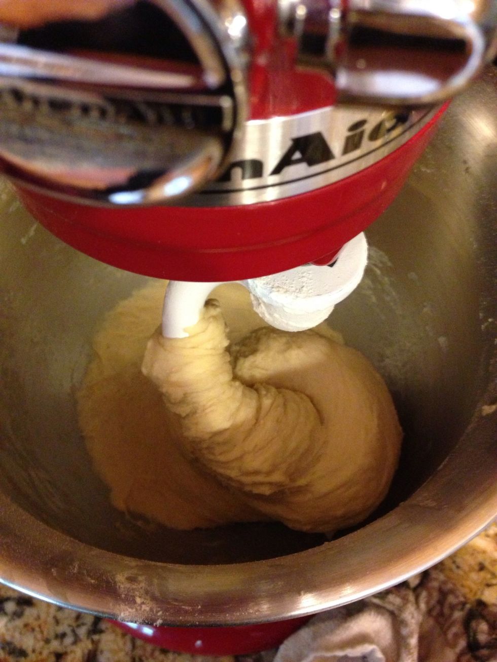 After your dough has kneaded for about 8 minutes, it should be elastic and smooth.