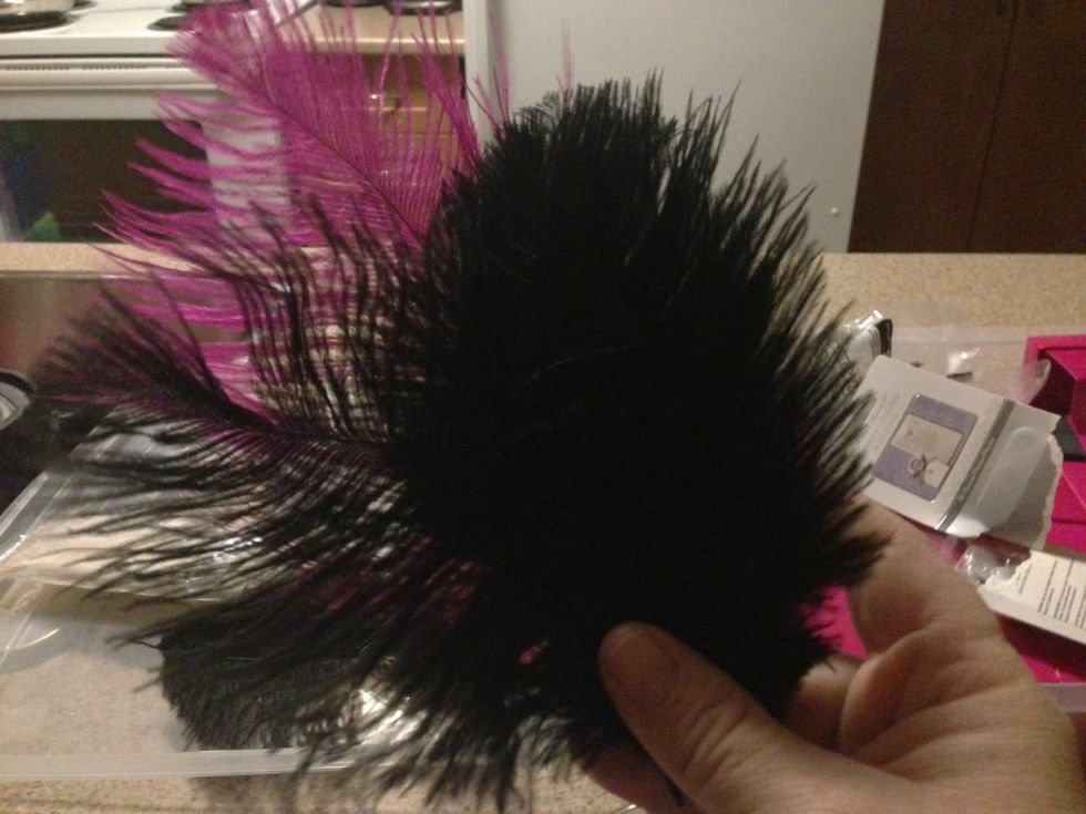 Again all my art supplies are from eBay. These are Black Osterich feathers.