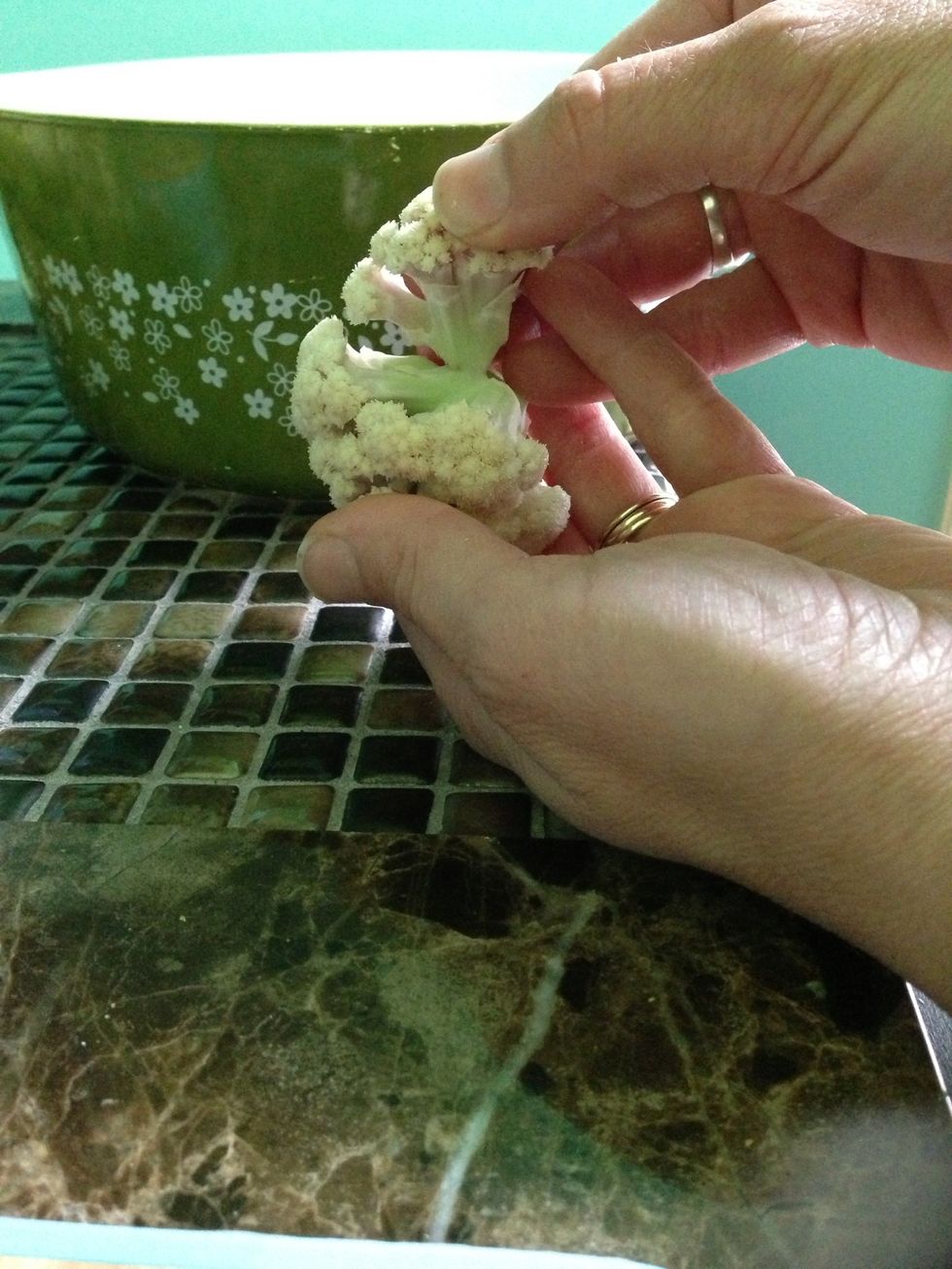 Again break larger florets into smaller pieces to ensure you have small semi uniform pieces.