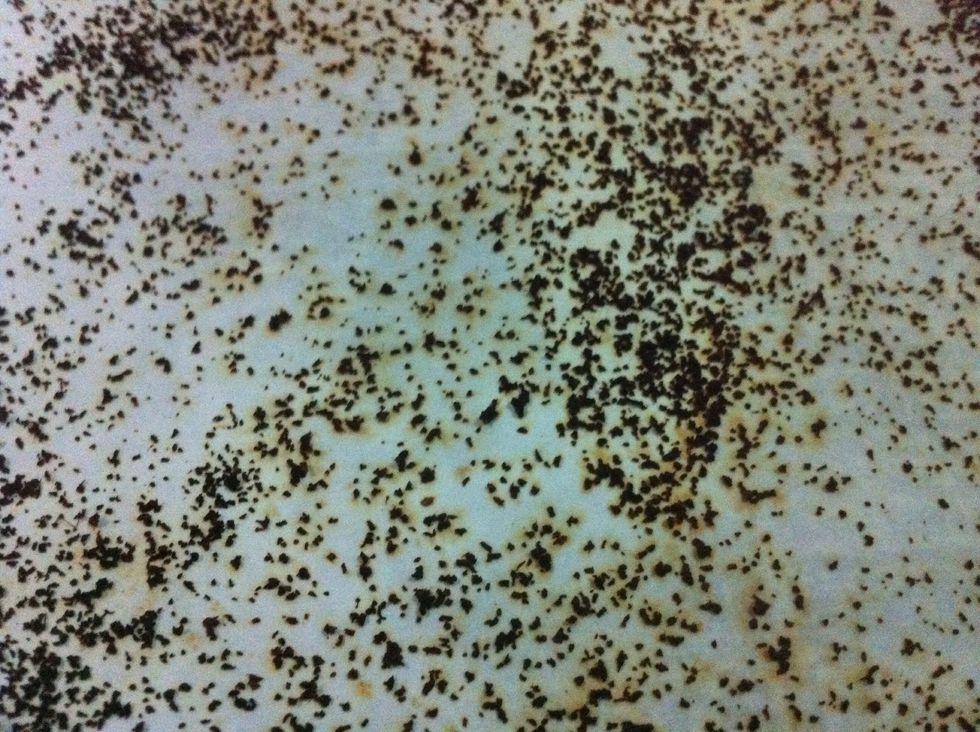 again repeat the process of spraying water and again oven it for 1 min