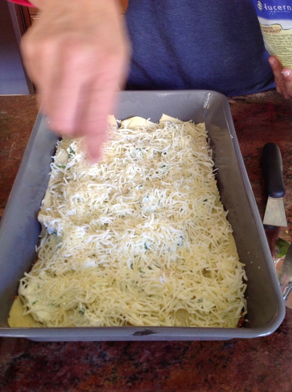 Again, use as much cheese as you want. We are adding mozzarella and Parmesan. You can never have enough cheese.