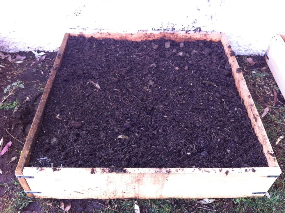 Agrega a parte iguales tierra para huerto y abono, mezcla muy bien con una pala agregando suficiente agua. / Put soil and fertilizer in equal parts, mix with a shovel adding enough water.