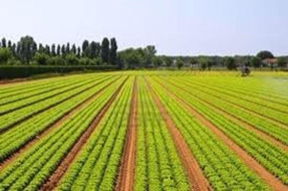 Agricultura