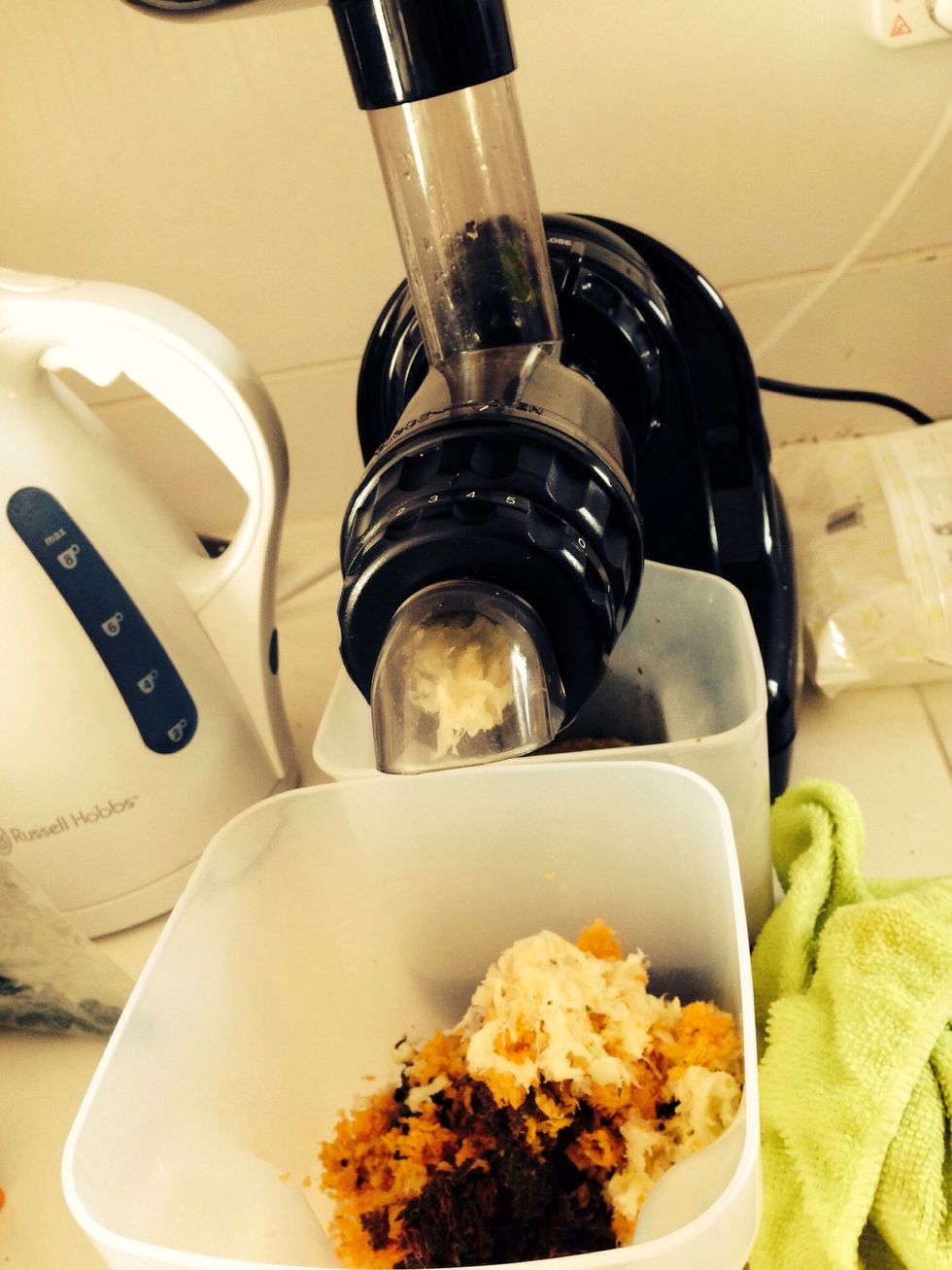 Ah, my beloved juicer - extractor of all things wonderful! Add all the ingredients to the juicer and right at the end, add a teaspoon of Green Power to the juice (not into the machine!). Mix well!