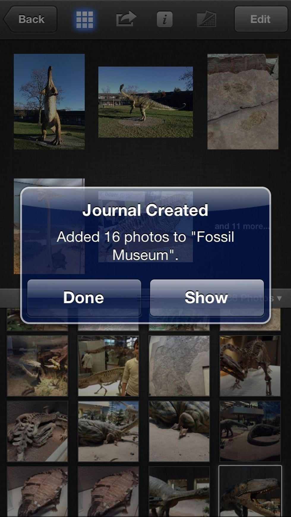 Aha! Now this is where you must choose. Tap done, and you're finished. But, if you want to edit or publish the journal, choose "show".