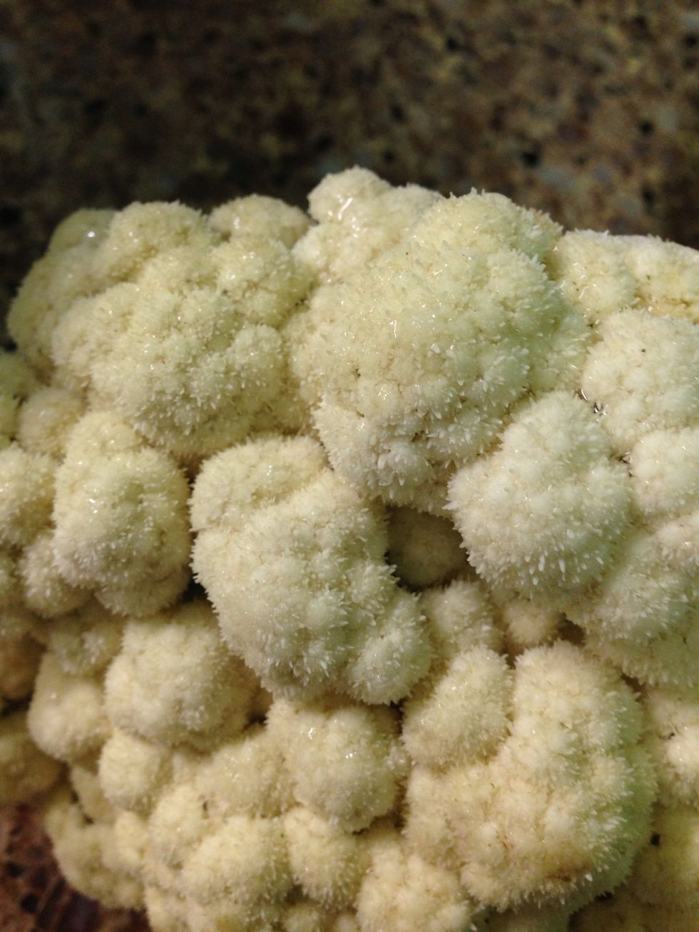Ain't that pretty? Yep, we grew it ourselves in our mondo backyard garden.