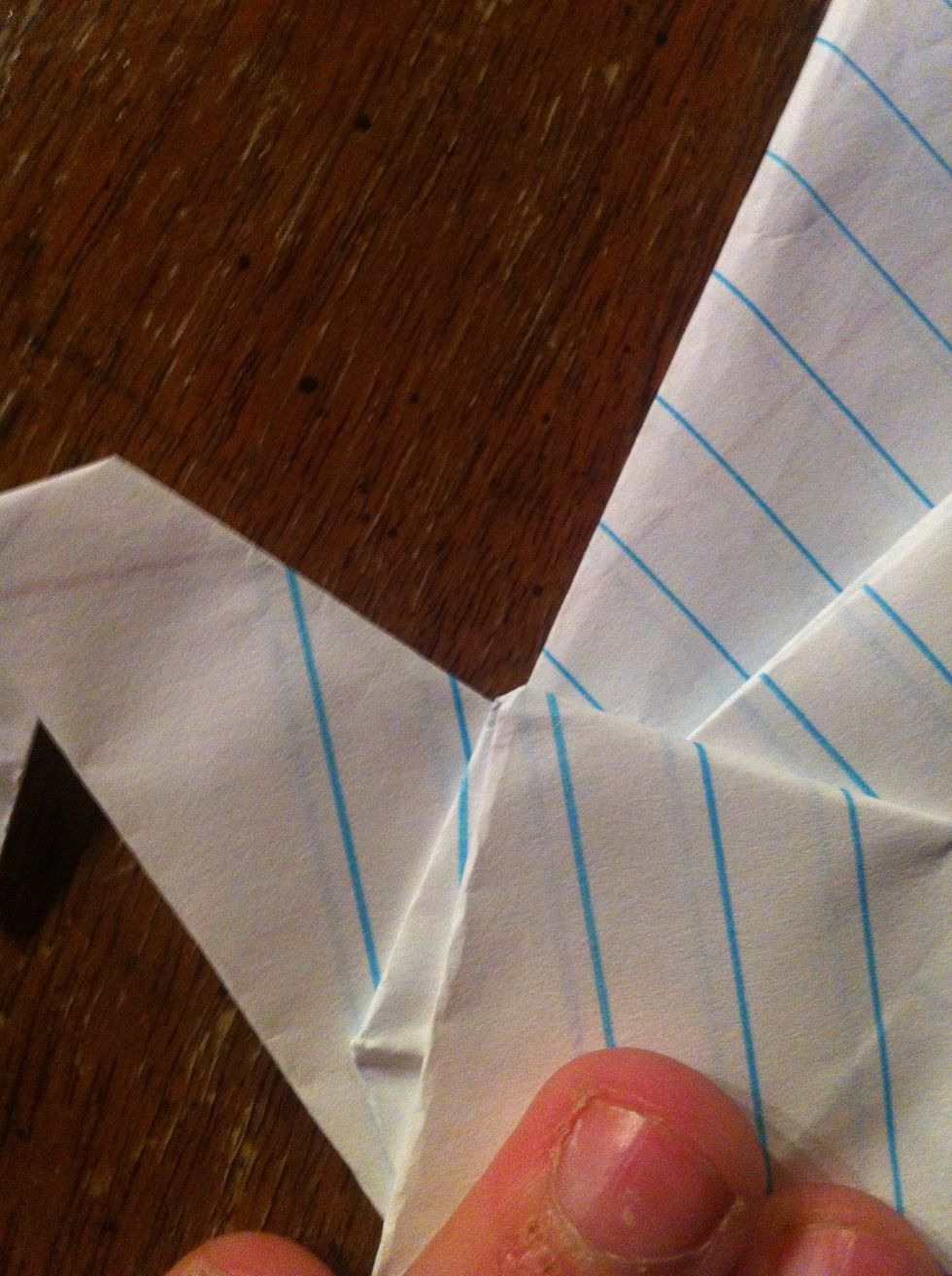 Align the top of the wing with the neck(on both sides)