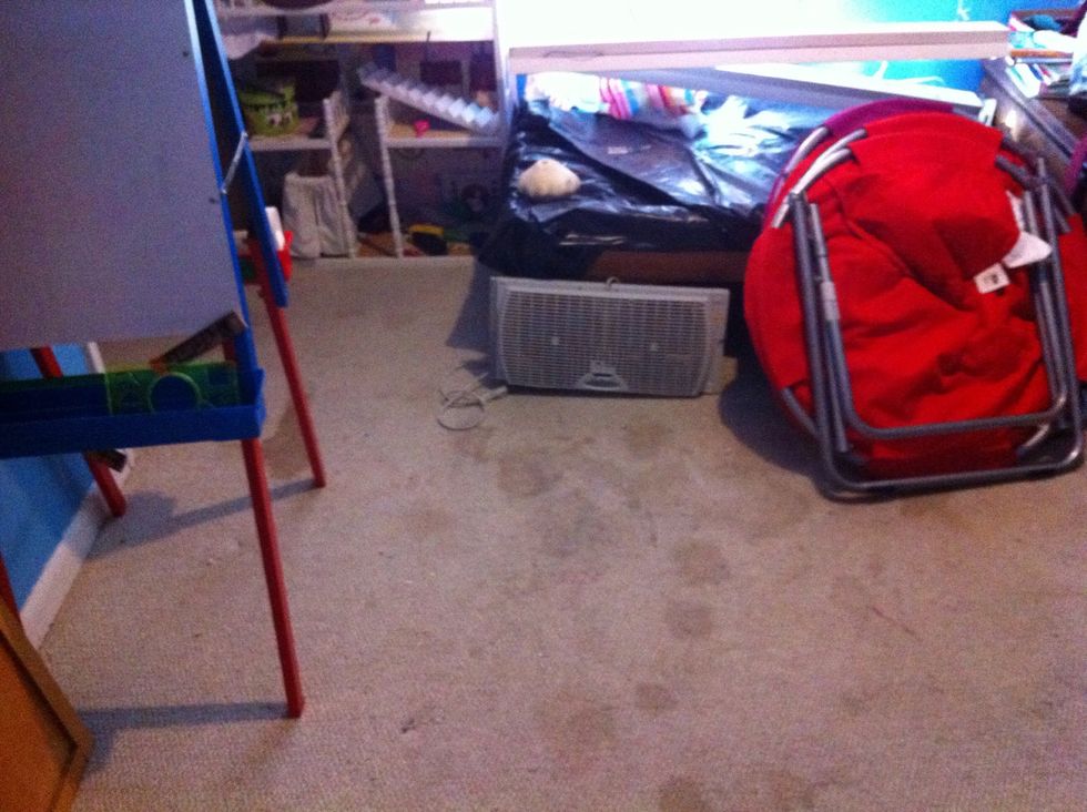 All clear! Vacuum. \u2728\ud83d\ude03\u2728 Now I need to shampoo the carpet!