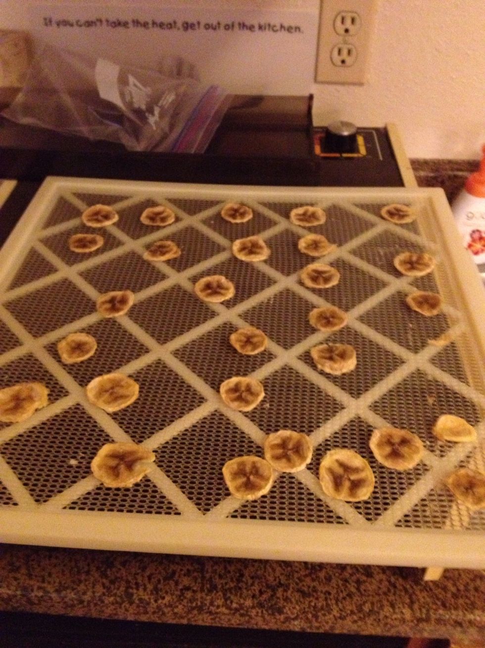 How to make banana chips with a dehydrator - B+C Guides