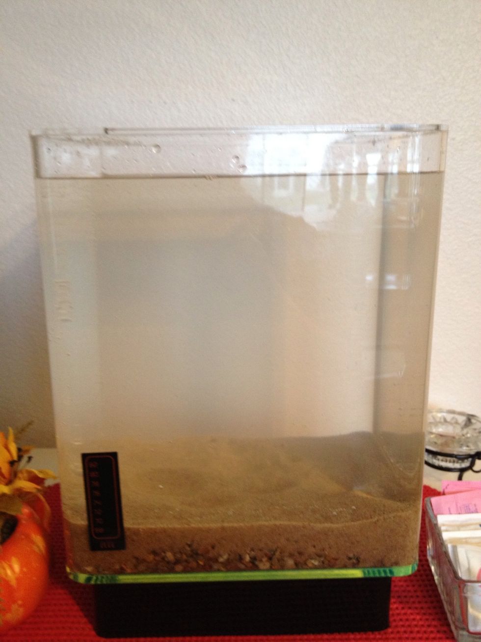 All filled, with minimal sand displacement.