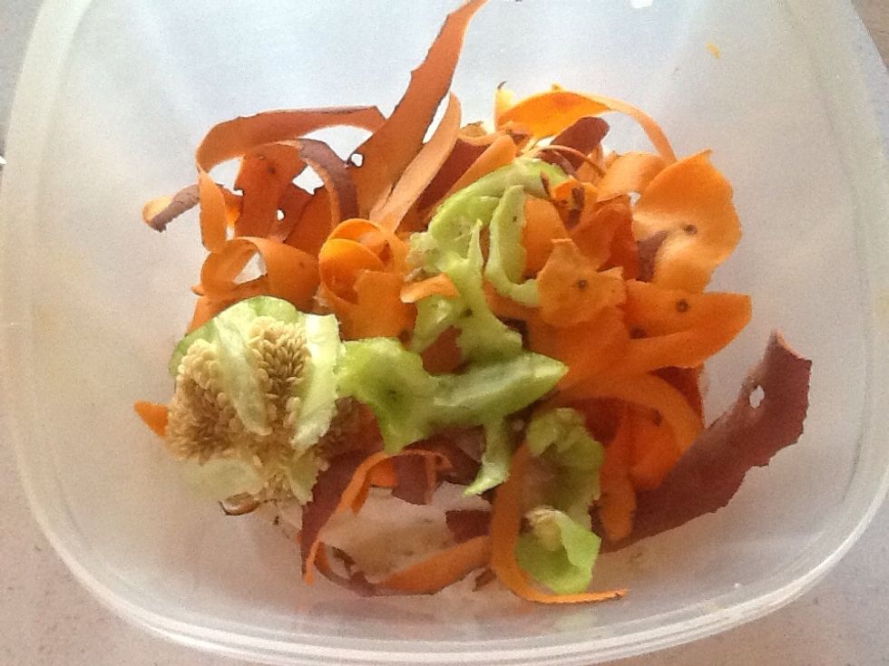 All kinds of scraps, but NOT meat.