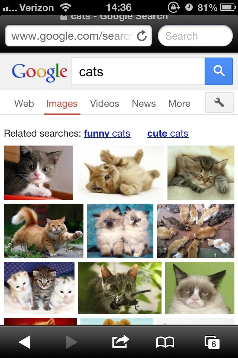 All photos have to be copyright free! This means that your pictures have to be searched for with the "free use" tag if you're going to use Google or Bing.