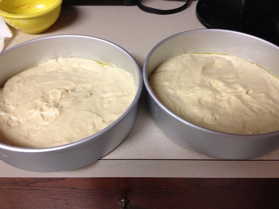 All spread, now tap pans lightly to even out the batter
