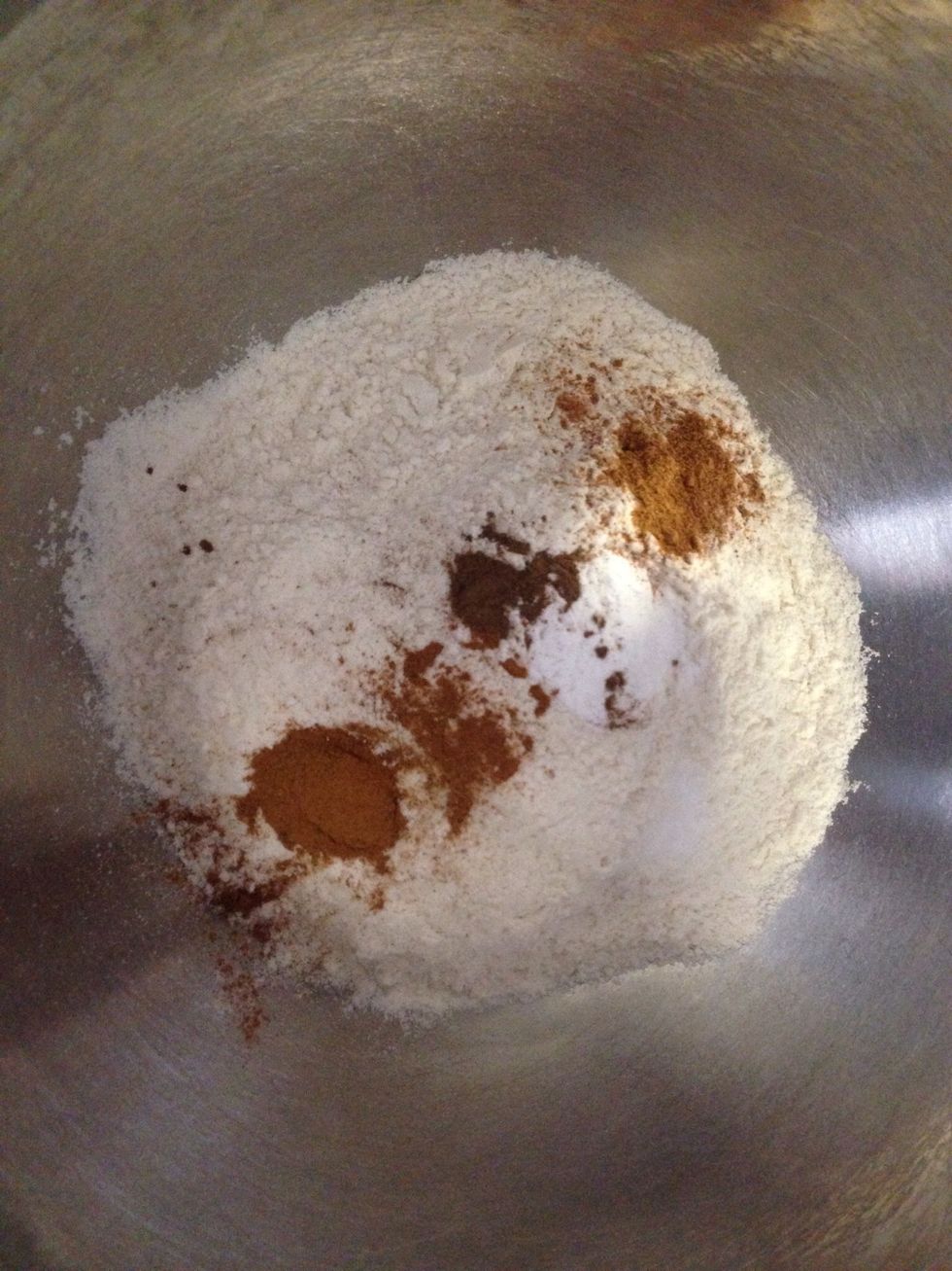 All the dry ingredients in large mixing bowl. Set aside.