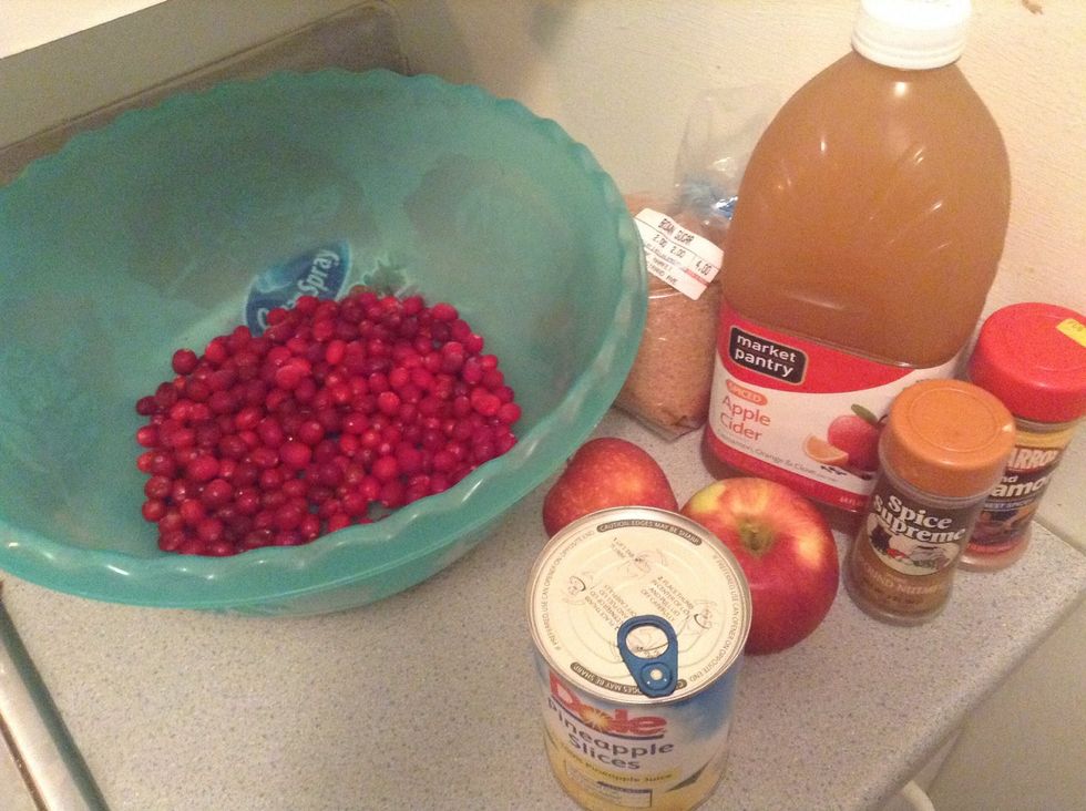 All the ingredients set up