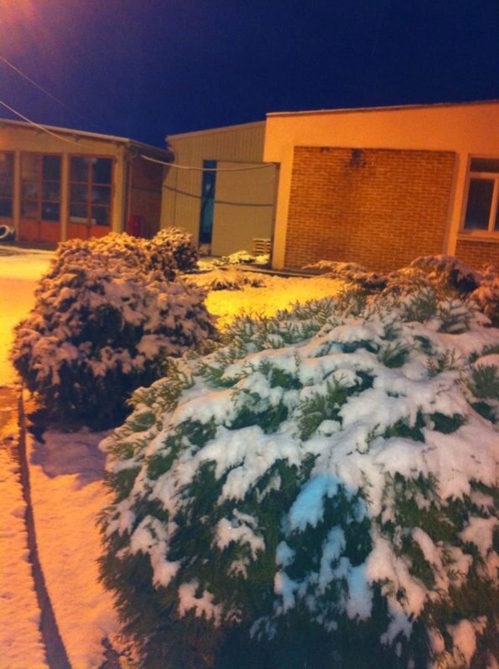 All the way from Serbia, a picture of the first snow today sent by my brother. Can you feel Santa Claus getting closer? Or did you eat too many strawberry Santas from my previous guide?? Yummmmyyyy!!