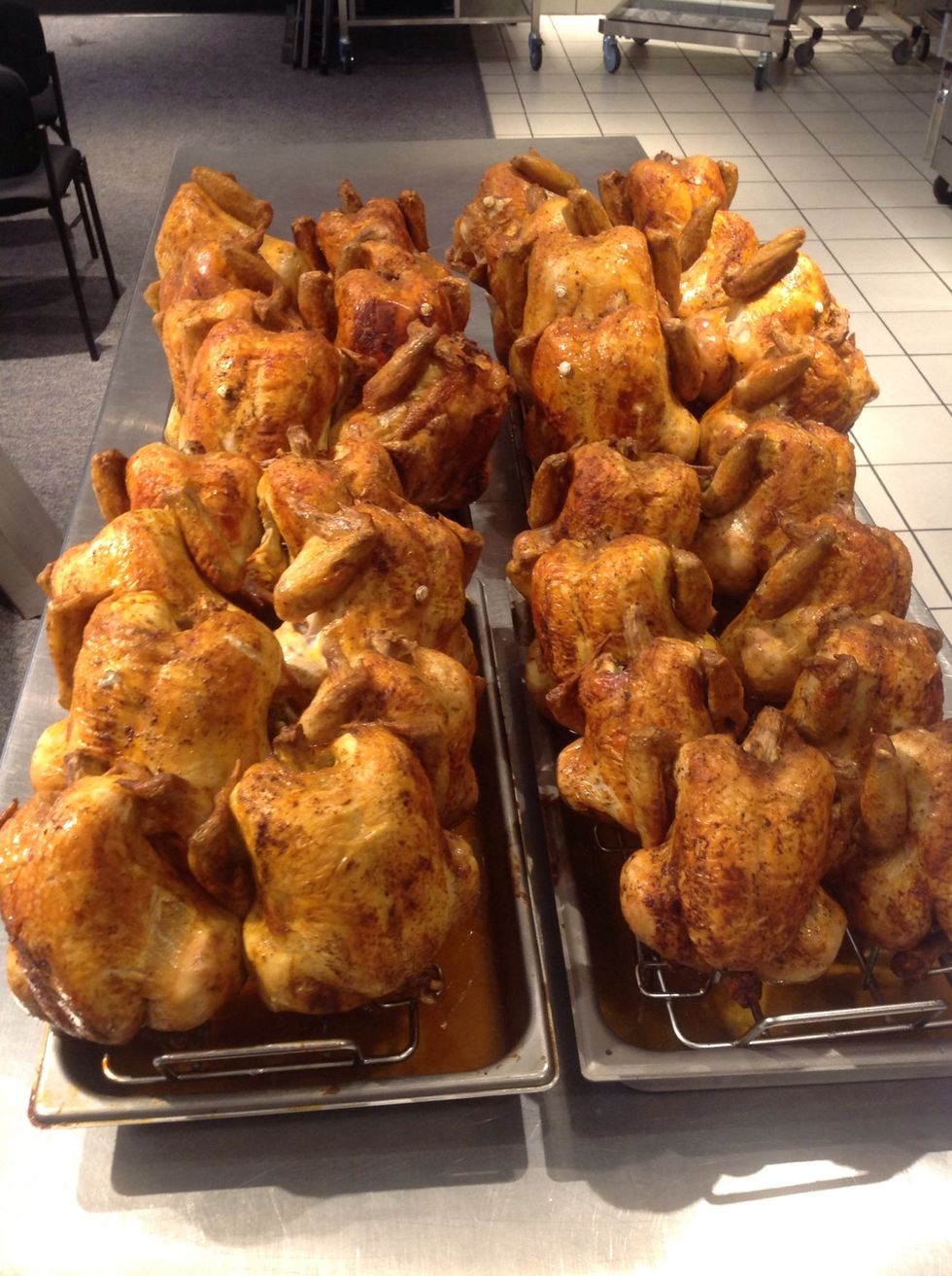 All thirty two birds done to perfection