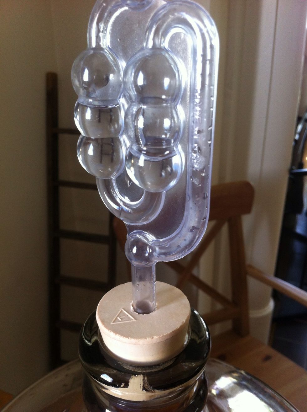 all your beer is in your carboy. now cap it. put a little water in your airlock and stuff the airlock super hard into the rubber stopper. you don't want no air getting in.