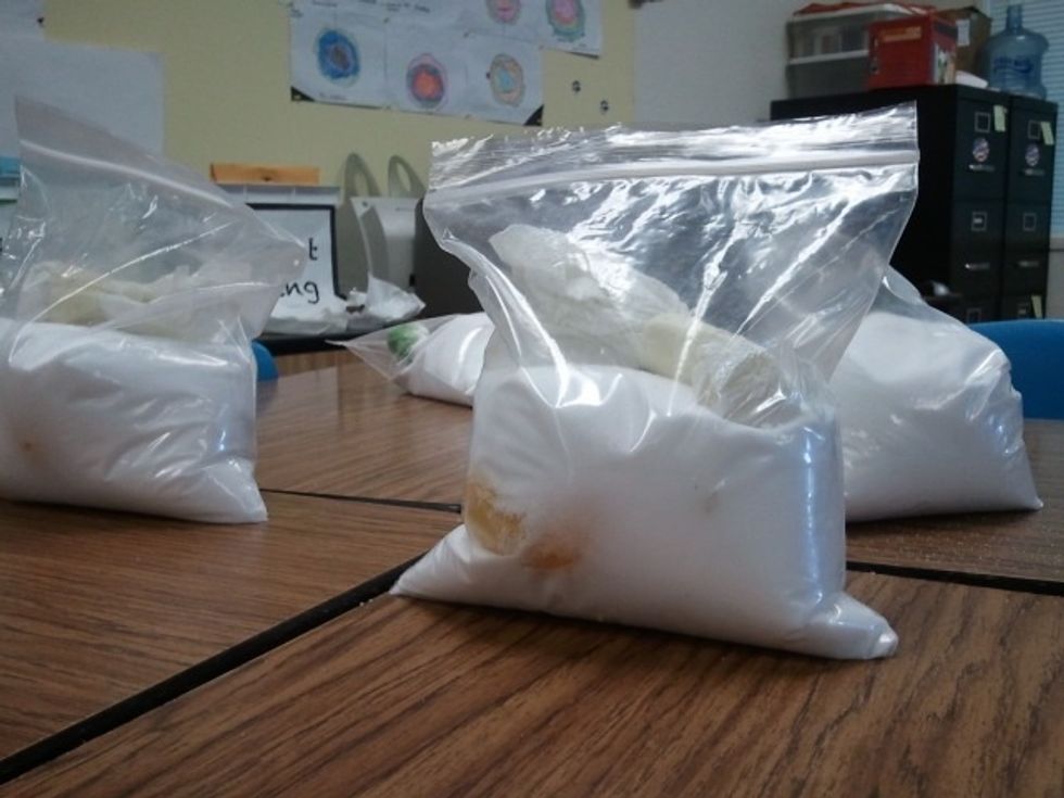 Allow mummies to sit in natron for 2-3 weeks.  The fruits that had the most pulp and juice removed will mummify faster than those left with more moisture.  Keep an eye on natron and replace as needed.