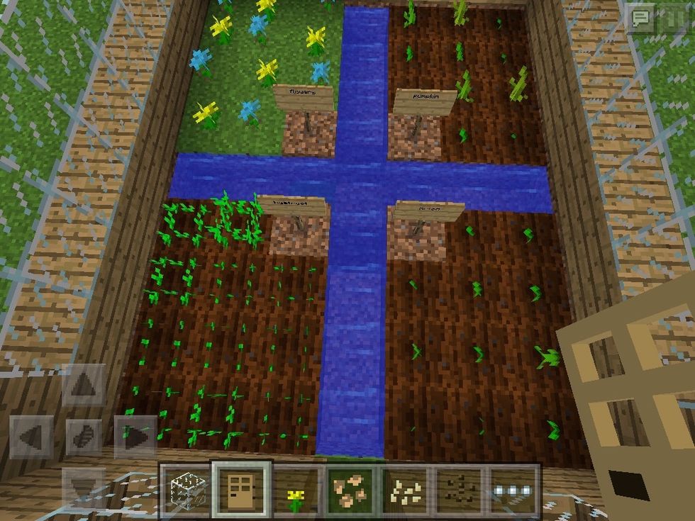 Almost done growing!