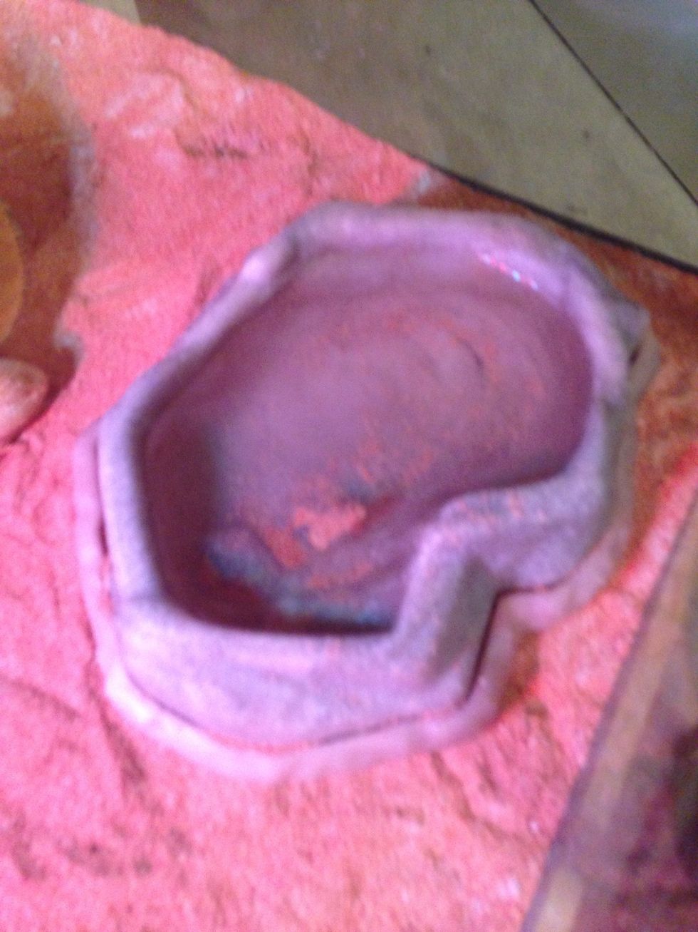 Also gunna want a clean water dish need to clean it every 2-3 days