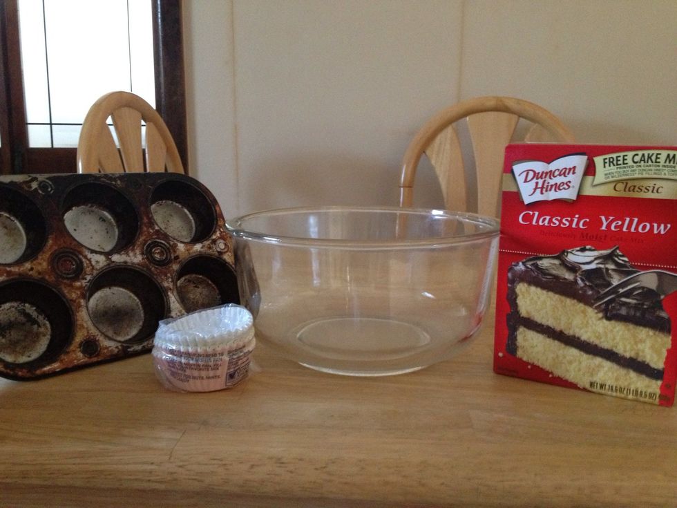 Also need a bowl, cake mix, cupcake liners (optional) and a cupcake pan.