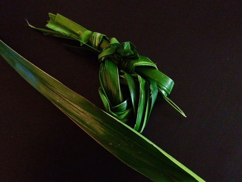 Also, the sliced leaves will be easier to tie into a knot like so. This actually eases handling and placement into the rice cooker.