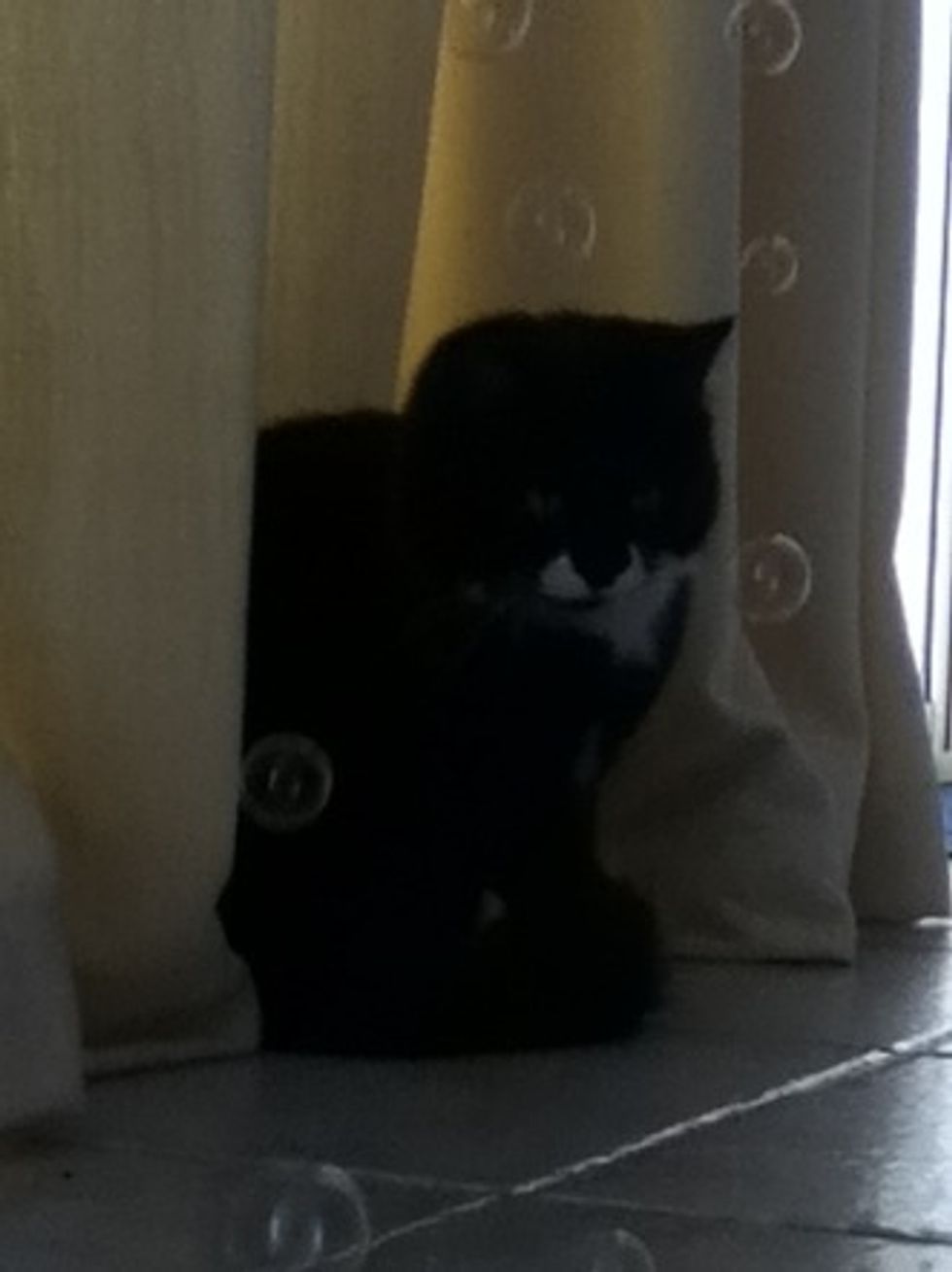 Also the type of picture I wanted