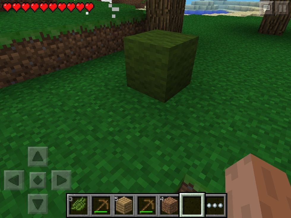 Also when you kill them, the wool will be that color.