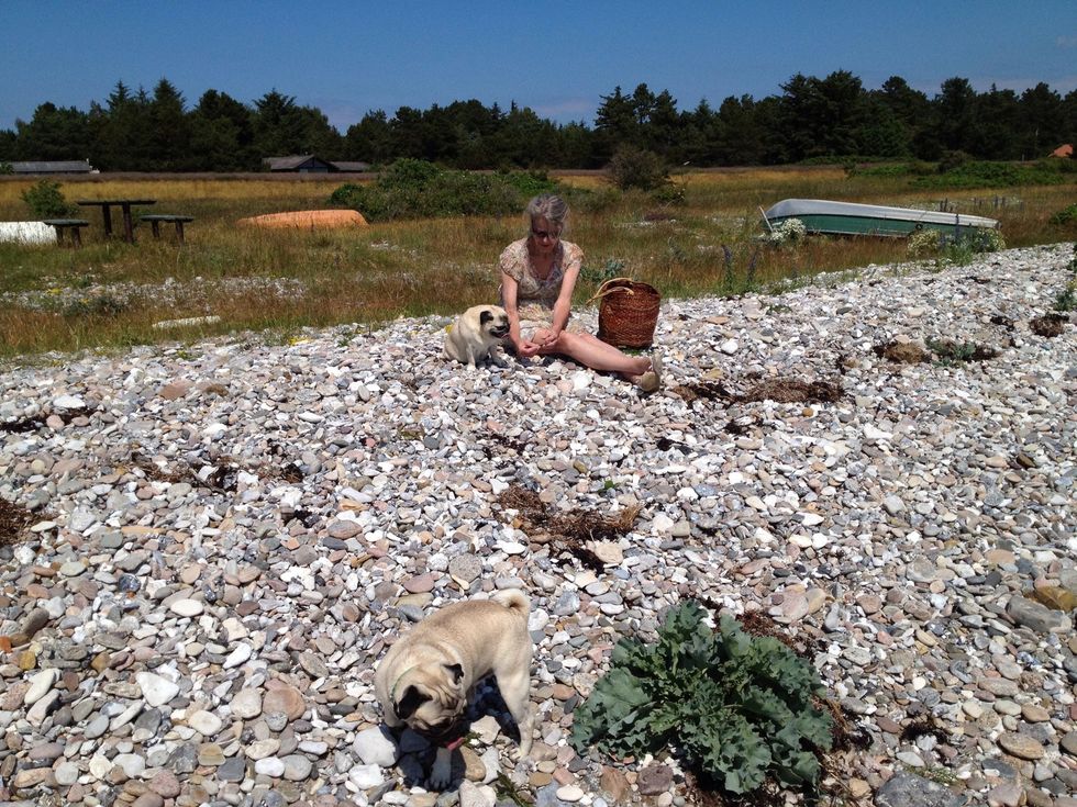 Always get advise from a clever dog when you are not sure if the stone you found is ok. Try to find flat stones with the same thickness.