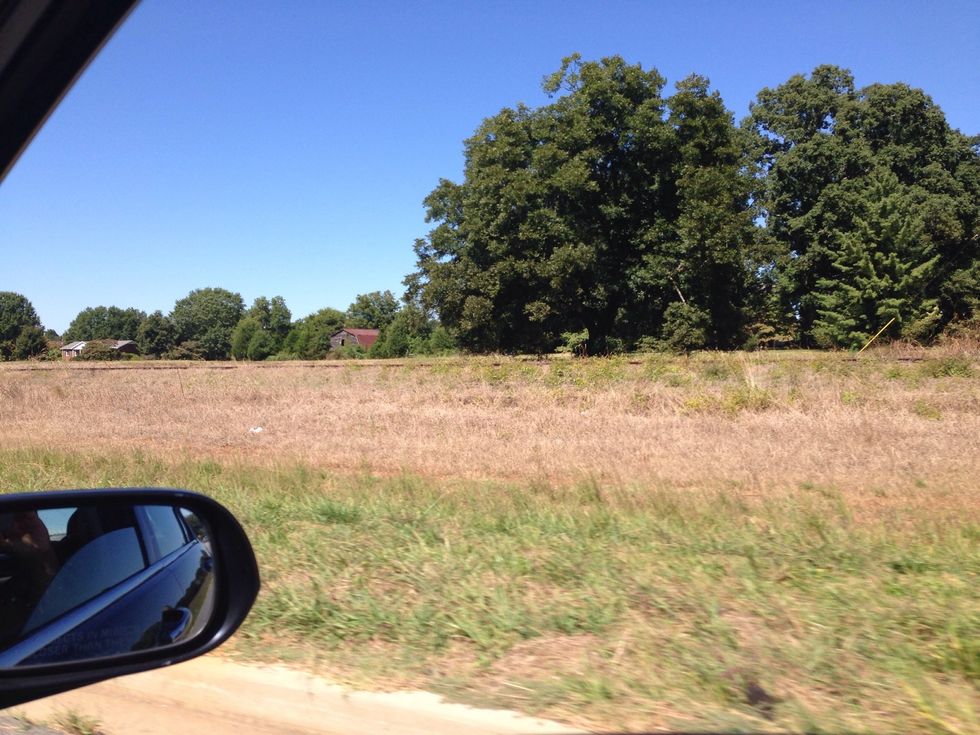 Amazing little red barn tucked in the country land! I wonder what that white object is on the ground? Trash, a rabbit? Use your imagination and guess! It could be a sign!