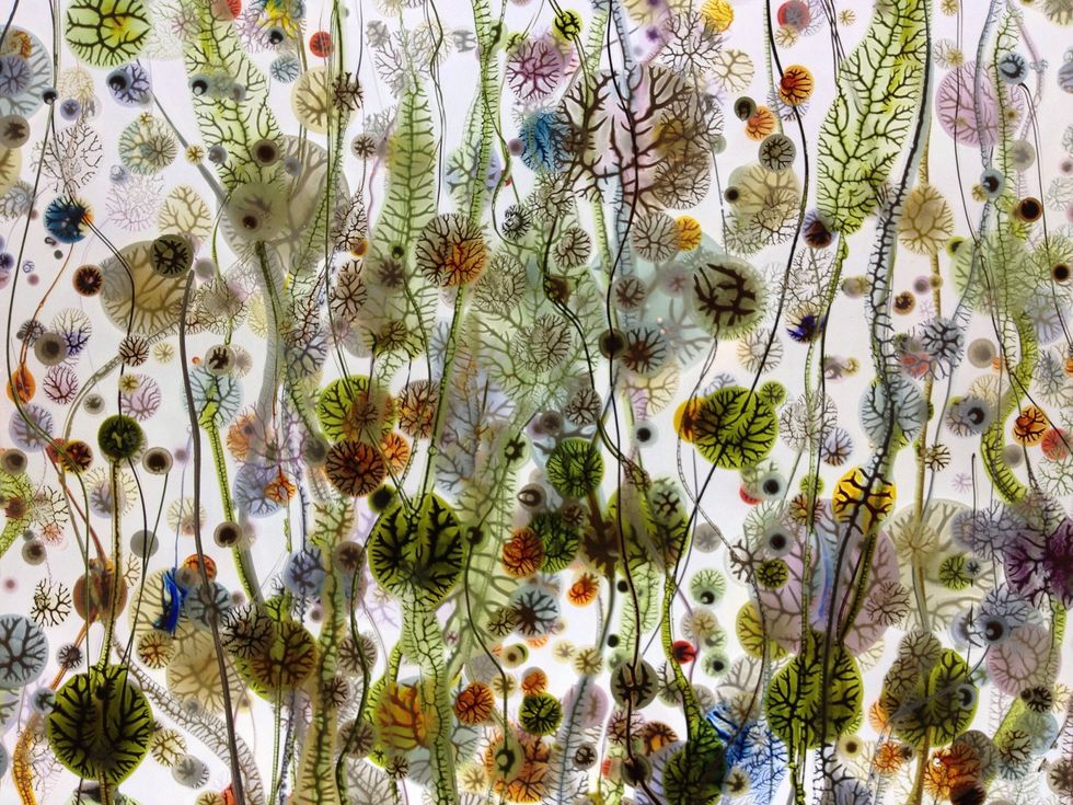 An Alkaline diet consists mainly of fresh fruits and vegetables and plenty of water. Check lists for alkaline vs acidic foods. It especially reigns supreme for weight loss and kidney stone issues.